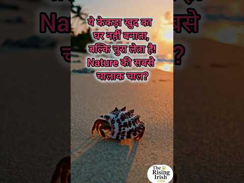 ये केकड़ा खुद का घर नहीं बनाता, बल्कि चुरा लेता है! Nature की सबसे चालाक चाल? #shorts