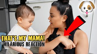 SURPRISING MY WIFE WITH A PUPPY! *BABY GOT JEALOUS*