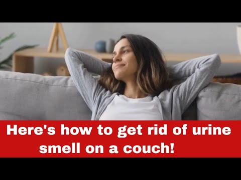 वीडियो: कैसे हमेशा के लिए सोफे पर पेशाब की गंध से छुटकारा पाएं