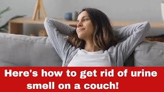 How To Get Rid of Urine Smell On a Couch [Detailed Guide] screenshot 4