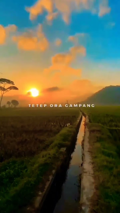 Sanes - Guyon Waton feat Denny Caknan (Lirik Lagu) #shorts #storywa30detik #sanes #lyrics