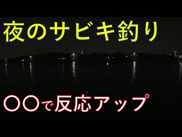 夜の漁港で はじめてのサビキ釣り Youtube 夜の漁港で はじめてのサビキ釣り Youtube