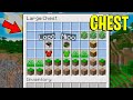 GIOCO A MINECRAFT DENTRO AD UNA CHEST!