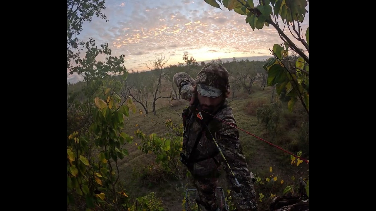 2025 Texas Buck with a Bow (short edit)