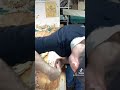 Hand carving a charcuterie board #woodworking #carving #art #carvings #diy #handmade ￼