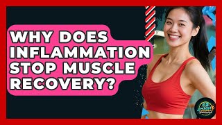 Why Does Inflammation Stop Muscle Recovery? - High Energy Training Hub
