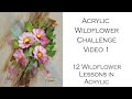 Week 1: Acrylic Wildflower Painting Challenge