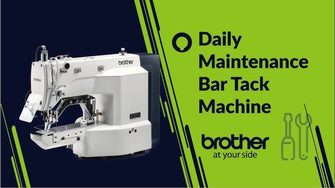 Tukli mushukni korsatayotgan arman ayolining fotosurati