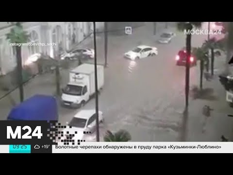 Машину с людьми унесло течением реки в Хостинском районе Сочи - Москва 24