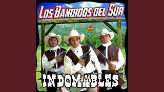 Video thumbnail of "Los Bandidos del Sur - Asi Fue"