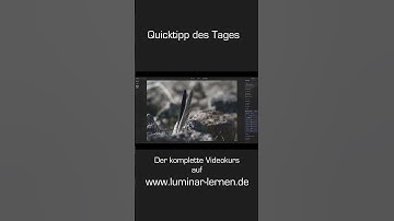 Quicktipp: Schwarz-Weiß-Fotos in Luminar Neo mit Farbreglern & Gradationskurve mehr Tiefe verleihen