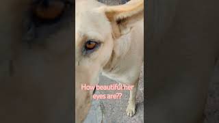 Beautiful Bella Lover