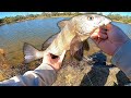 Bank Fishing Neighborhood Tidal Pond || MY GO TO INSHORE FISHING SETUP