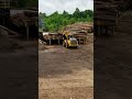 Rockland manufacturing sorting grapple on a cat 980m