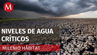 Por intensas sequías, siete presas se han secado a nivel nacional | Milenio Hábitat