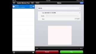 UDL Guideline 4 & iPad Accessibility