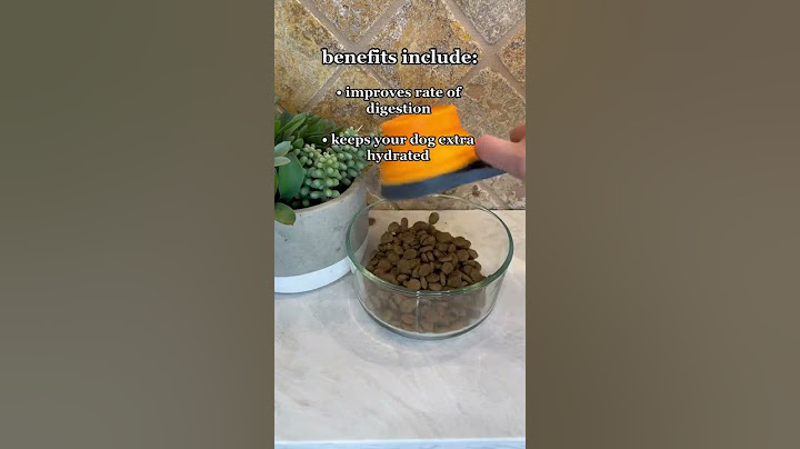 Hydrating Your Dogs Kibble