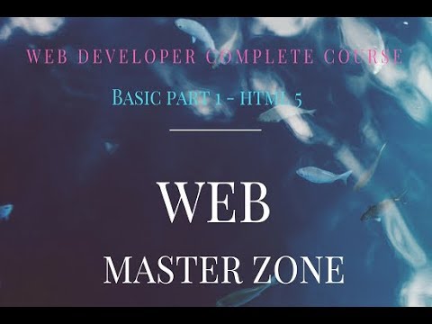 HTML Entities - Complete Video Guide