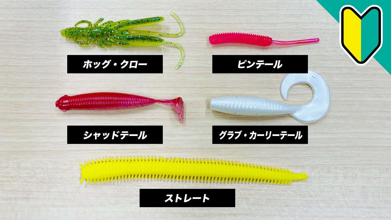 ワーム　大量　コレから始める方　超お得 ワーム 大量 コレから始める方 超お得