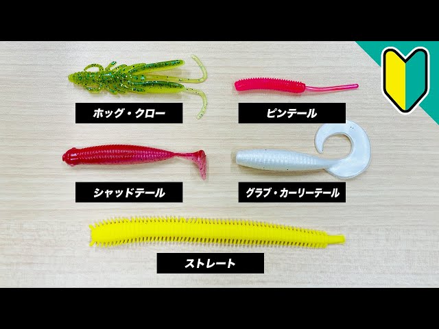 はじめてのワーム釣り講座！基本的な形や使い方を解説【海釣り
