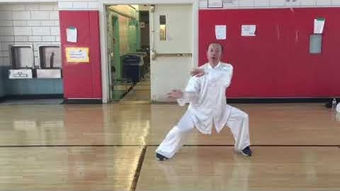 New First Form - Part 4 | Dan Bian and Second Jin Gang Dao Dui | 单鞭 - 第二金刚捣碓