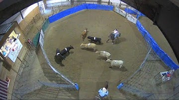 Big Sky Ranch Sorting Saddle Series #4 - #7 SORT - Round #2 - Ride #19