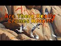 Crane Petroglyph Site on the Summer Solstice-Ancient Solar Calendar in Arizona