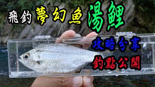 連鎖水族館一尾要價上千的魚，自己釣！夢幻湯鯉釣點選擇，釣 ... 