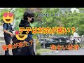 テテに何があった？ファンのせい?!あの日の事実