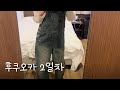 별거 없는 후쿠오카(사세보, 다케오온센) 2일차 | 佐世保市, 武雄市