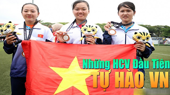 Việt nam được bao nhiêu huy chương vàng seagame 29 năm 2024