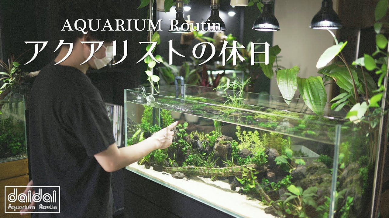 7:00AMから始まる休日/aquarium/Tanpopo.C