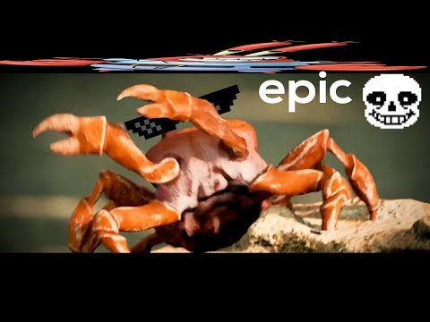 best-crab-rave-meme