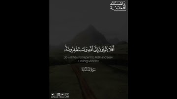 ﴿أَفَلا يَتوبونَ إِلَى الله وَيَستَغفِرونَهُ والله غَفورٌ رَحيمٌ﴾ | القارئ: راشد الحليبة