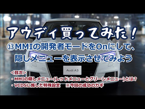 ⑬MMIの開発者モードをOnにして、隠しメニューを表示させてみよう。How to activate Developer mode using VCDS(Access code s12345)