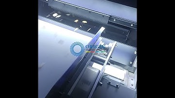 Peeled Garlic Sorting Machine - Origin Color Sorter