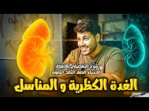 شرح تفصيلي بالافكار الصعبة للغدة الكظرية و المناسل المحاضرة الرابعة منهج أحياء الثانوية العامة