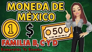 💰🏦 Mexican coins and banknotes | Easy explanation for everyone 👈🪙