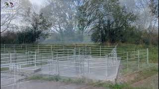 Roadside Cattle Crush & Holding Pens