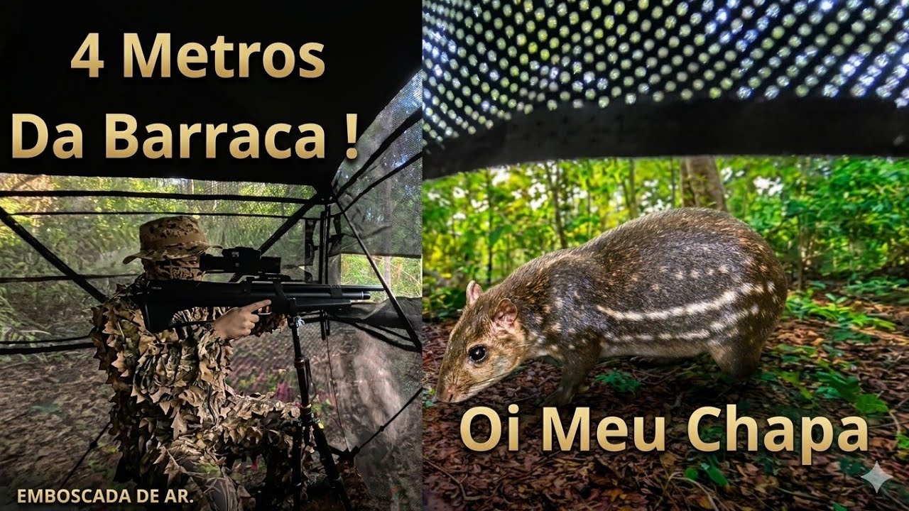 Ep. 3 Paca Veio Do Lado da Barraca De Caça E o Inacreditável Aconteceu! 