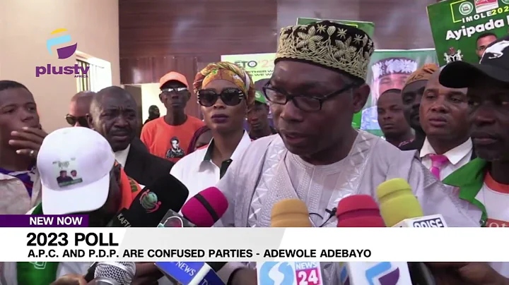 A.P.C. And P.D.P. Are Confused Parties - Adewole Adebayo