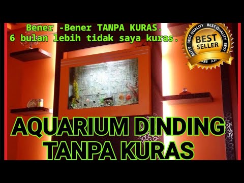  aquarium  dinding  tanpa Ribet YouTube