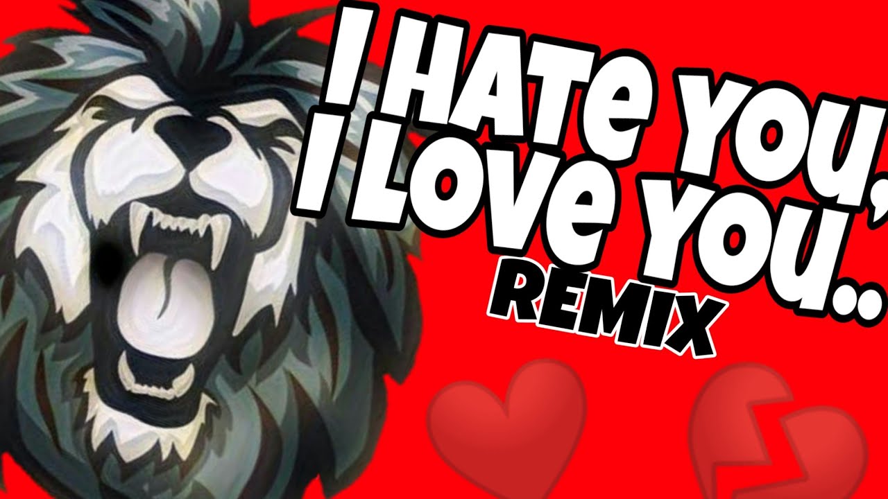I hate you, I love you - Remix - YouTube