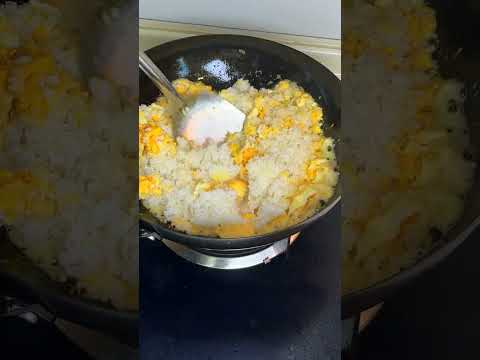I Cracked 6 Eggs Into Screaming Hot Oil — Pure Egg Fried Rice