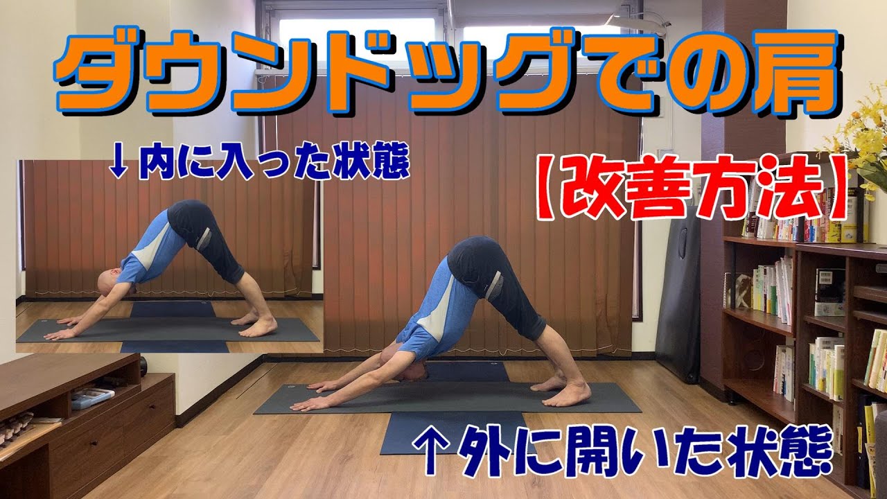 ダウンドッグで肩が内側に入ってしまう人へ【理由と改善方法】