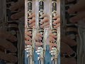 【さくらのうた】#クラリネット #clarinet #さくらのうた #吹奏楽 #shorts