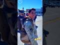 Dog greets soldier returning home 🥹#fypシ #dog #soldier #military #viral #love #cutedog