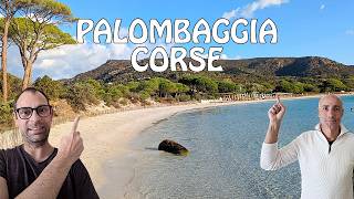 Corse  Voir Ou  Faire La Plage De Palombaggia Vlog Et Conseils