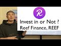 Invest in or Not? - Reef Finance, REEF -