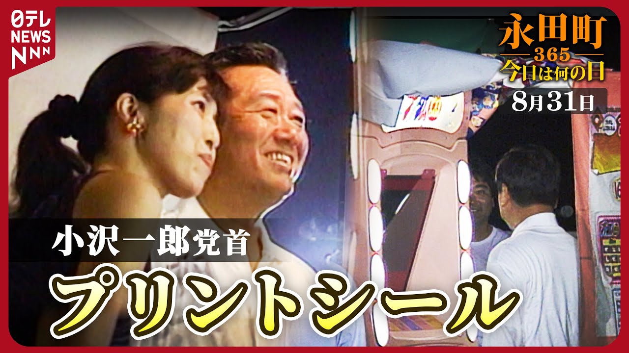 新進党 と は